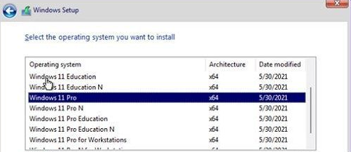 選擇win11版本