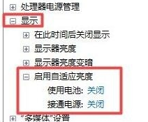 啟用自適應(yīng)亮度